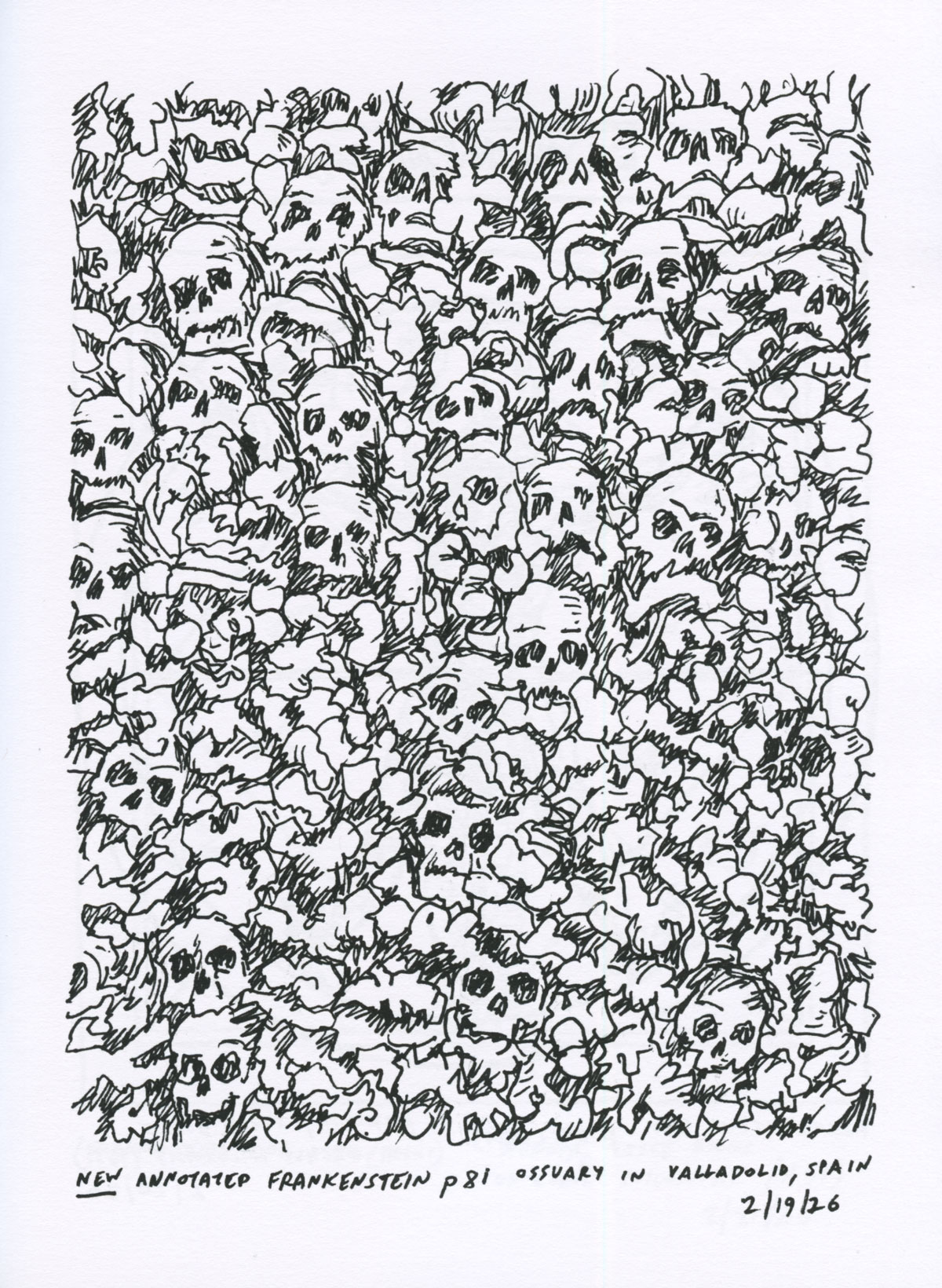 Creature Sketches Creature Sketches