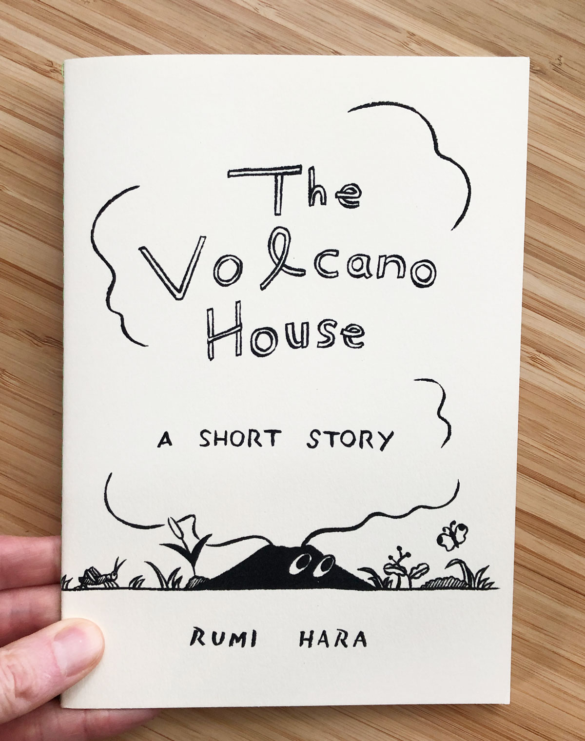 The Volcano House The Volcano House